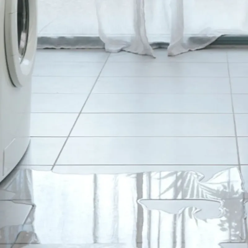 Appliance Leak Cleanup in Treasure Island, FL